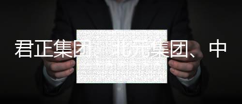 君正集团、北元集团、中泰化学,谁是成长能力最强的氯碱企业?